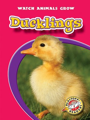 cover image of Ducklings